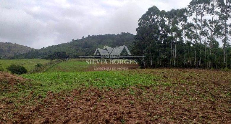 Terreno, 10 hectares - Foto 5